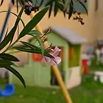 Appartamento Ave